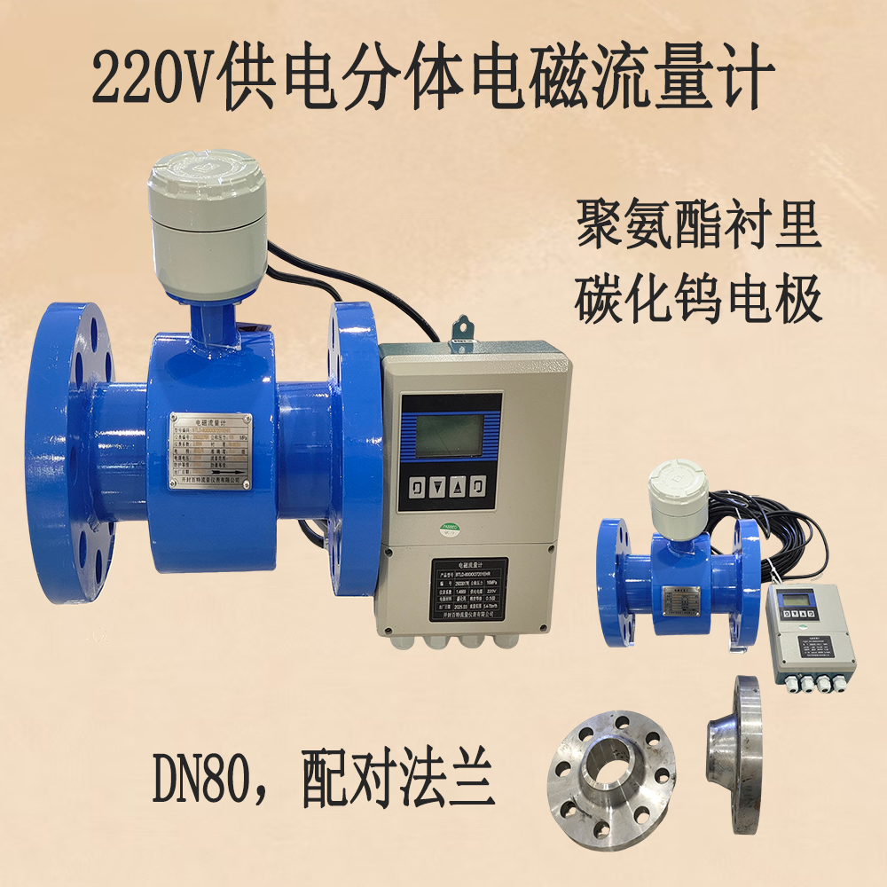開封百特220V供電分體流量計(jì)，DN80，聚氨酯襯里，碳化鎢電極(含配對(duì)法蘭)   .jpg